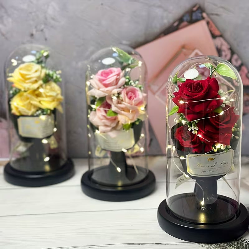 Roses éternelles sous cloches